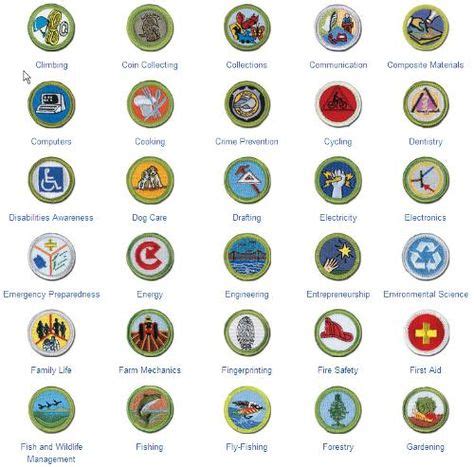 9 BSA Merit Badges ideas | boy scout troop, merit, merit badge