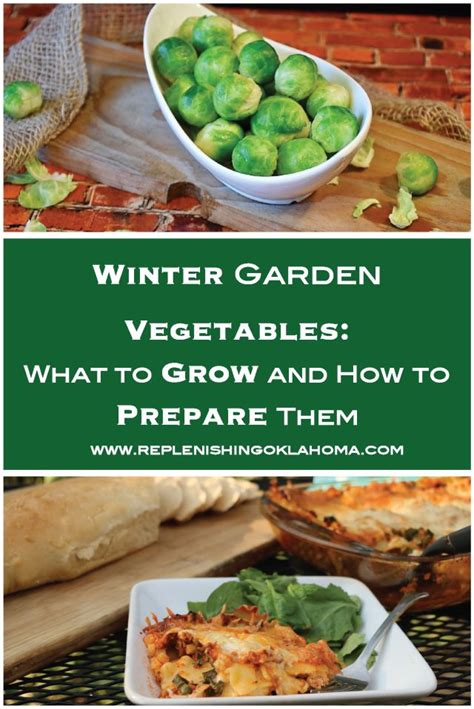 GARDEN in the WINTER? Winter Garden Vegetables: What to Grow and How to ...