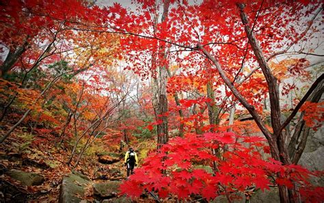 Jeju autumn itinerary — 6 best places to visit & top things to do in ...