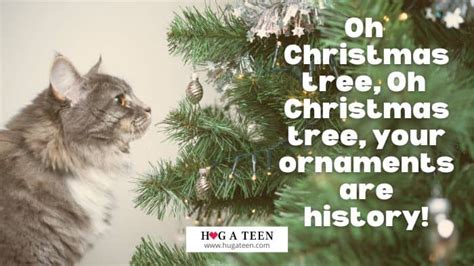 Funny Cat Christmas Puns, Jokes, Quotes, And Photos.