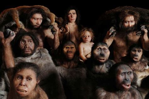 Evolution Of Humans | @dwm45 | Flipboard