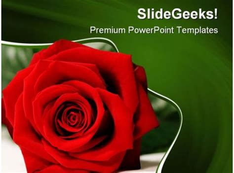 Red Rose Beauty PowerPoint Templates And PowerPoint Backgrounds 0211 ...