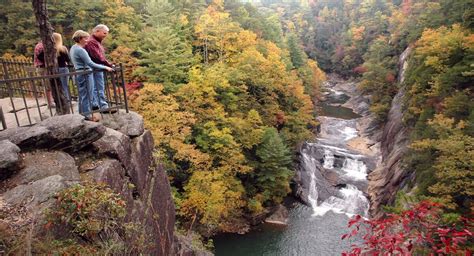 Camping in Georgia State Parks | Top 7 Amazing Campgrounds ...