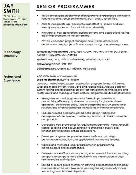 Professional Computer Programmer Resume Template : Resume Templates