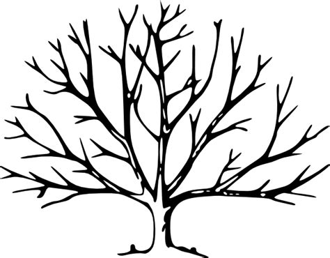 Tree Outline Printable - ClipArt Best