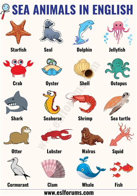 Marine Animals Name List