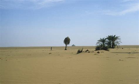 Ancient megalake discovered beneath Sahara Desert | Smithsonian Institution