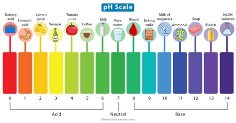 pH Scale: Definition, Chart, Values, & Range