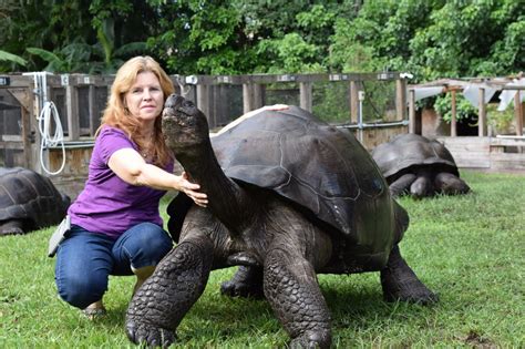 Photos of Tortoise Galapagos - Florida Iguana & Tortoise Breeders