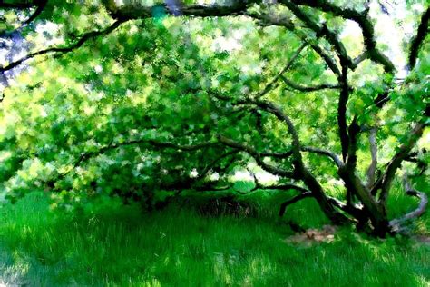 Green Tree Painting at PaintingValley.com | Explore collection of Green ...