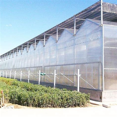 Solar Commercial Hydroponics Greenhouse for Agriculture