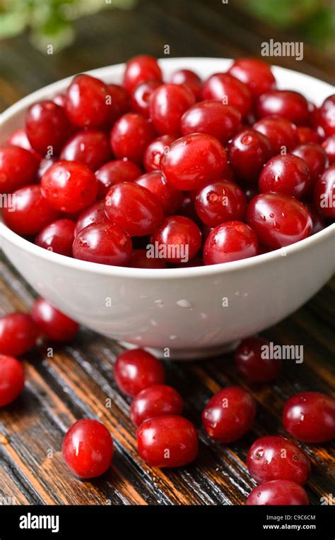 Cornus mas fruit hi-res stock photography and images - Alamy