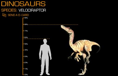 Disney Dinosaur Size comparison Velociraptor by Wolfman3200 on DeviantArt