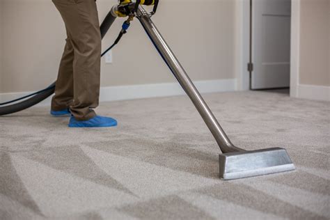 8 Amazing Carpet Cleaner Steamer for 2023 | Storables