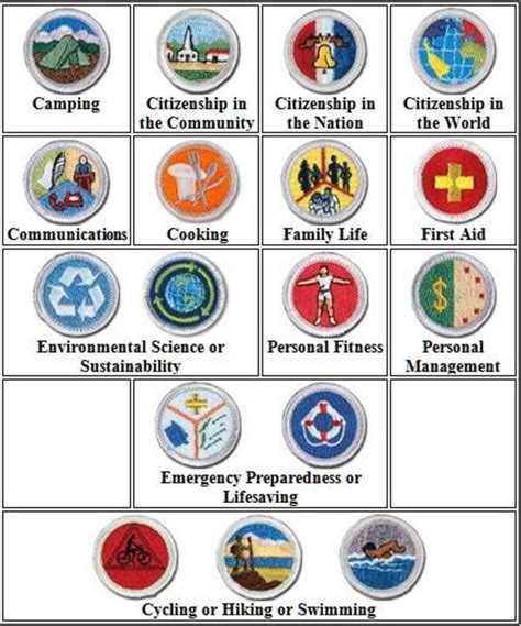 Bsa Merit Badges Worksheets