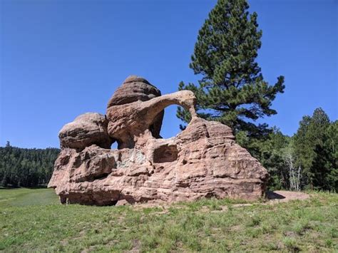 Mysterious Carved Rocks of Los Alamos - the places I have been