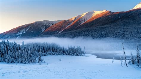 Forest Snowy Winter Mountains Wallpaper, HD Nature 4K Wallpapers ...