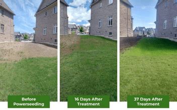 BEST Lawn Aeration Toronto With Before & After Photos - The #1 Most ...