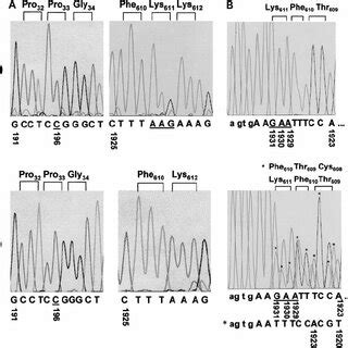 Nucleotide sequence analyses. (A) Nucleotide sequence analysis of ...