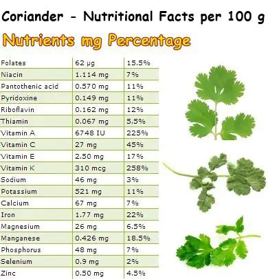 Properties and Benefits of Coriander – NatureWord