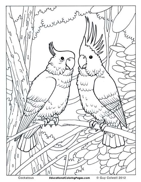 Coloring Pages Of Australian Animals