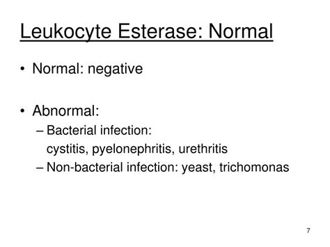 PPT - Chemical Examination of Urine Part IV: Nitrite & Leukocyte ...