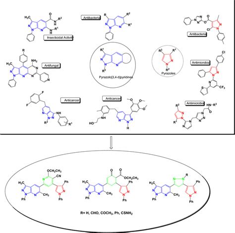 Examples of reported and newly synthesized heterocycles | Download ...