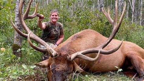 Minnesota Hunter's Bull Elk Deemed Second-Largest Ever Shot in State ...