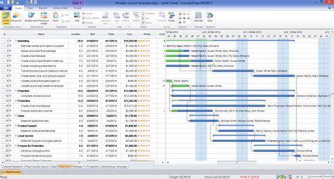 MS Project Gantt Chart Template