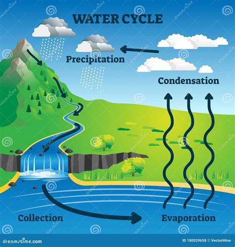 Condensation Water Cycle Clipart