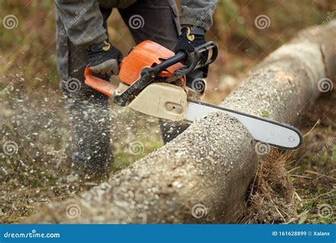 Lumberjack with Chainsaw Working Stock Image - Image of green ...