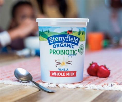 The Best Yogurt Brands | Healthy Foods Mag