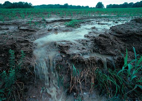 Water Pollution Control Policy: Addressing Non-Point Source Pollution ...