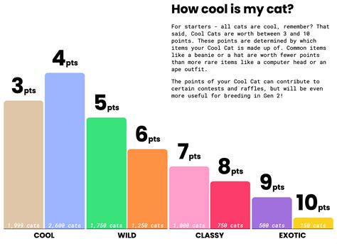 Cool Cats NFT Guide: Why Are So Many People Buying Cool Cats?