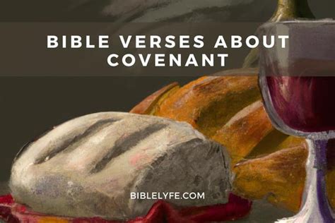 Bible Verses about Covenant — Bible Lyfe