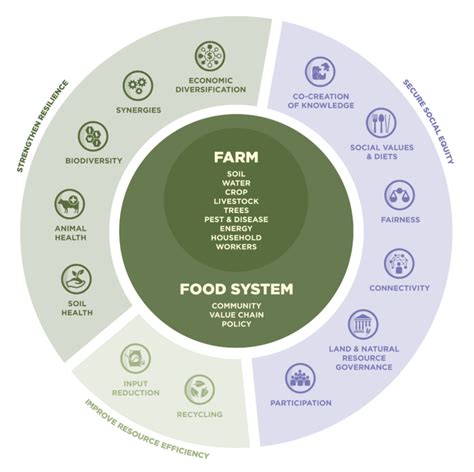 13 Principles of Agroecology| Agroecology Info Pool