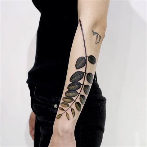 Aggregate more than 55 acacia tree tattoo super hot - in.cdgdbentre