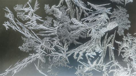 Free stock photo of cold, frost, macro photography