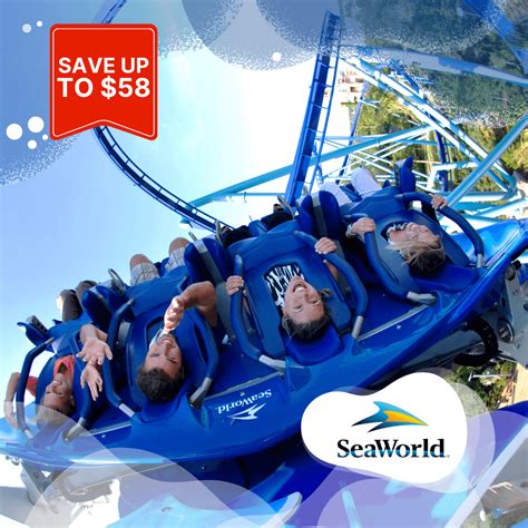 SeaWorld Single Day Ticket - Best Prices to buy SeaWorld Tickets