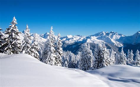 landscape, Mountain, Snow, Forest Wallpapers HD / Desktop and Mobile ...