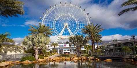 Top 10 exciting attractions in Orlando FL -Ocasio Consulting