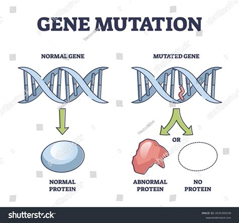 10,659 Gene mutation Images, Stock Photos & Vectors | Shutterstock