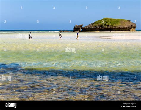 Beach, Watamu, Kenya, Africa Stock Photo - Alamy