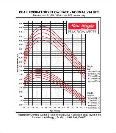 Peak Flow Chart Templates - 11+ Free PDF Documents Download | Free ...