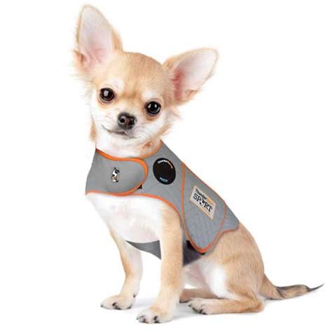 What Is A Thundershirt For A Dog