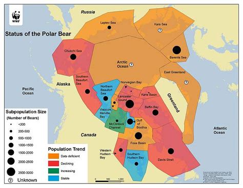 Status and Population - Polar Bear Conservation