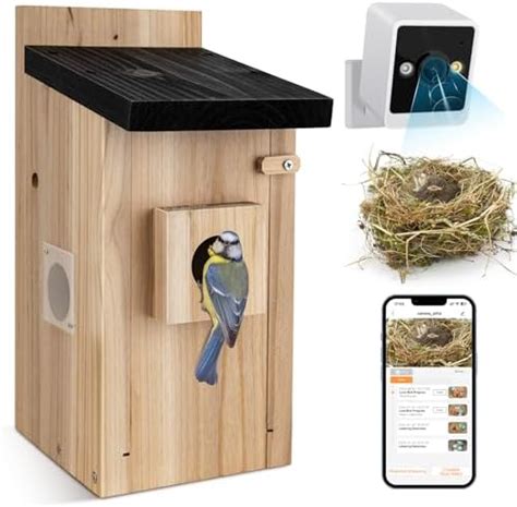 Amazon.com: FlowaFoli Smart Bird House with Camera,3MP HD Birdhouse ...