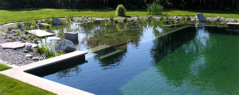 Who Else Wants Tips About How To Build A Swim Pond - Anxietyconcentrate