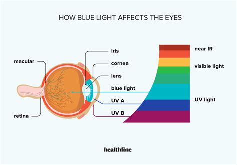 What Is Blue Light Computer | Homeminimalisite.com