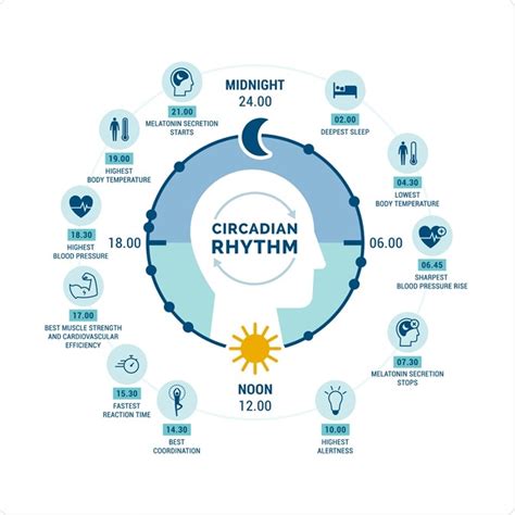 TL;DR Science: Sleep and Circadian Rhythm | SciTeens